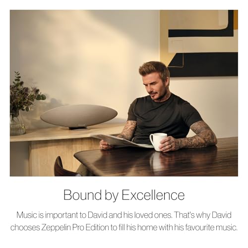 Bowers & Wilkins Zeppelin Pro Edition
