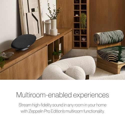 Bowers & Wilkins Zeppelin Pro Edition