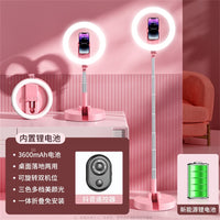Rechargeable Fill Light with Phone Holder