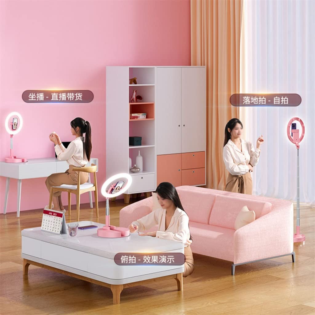 Rechargeable Fill Light with Phone Holder