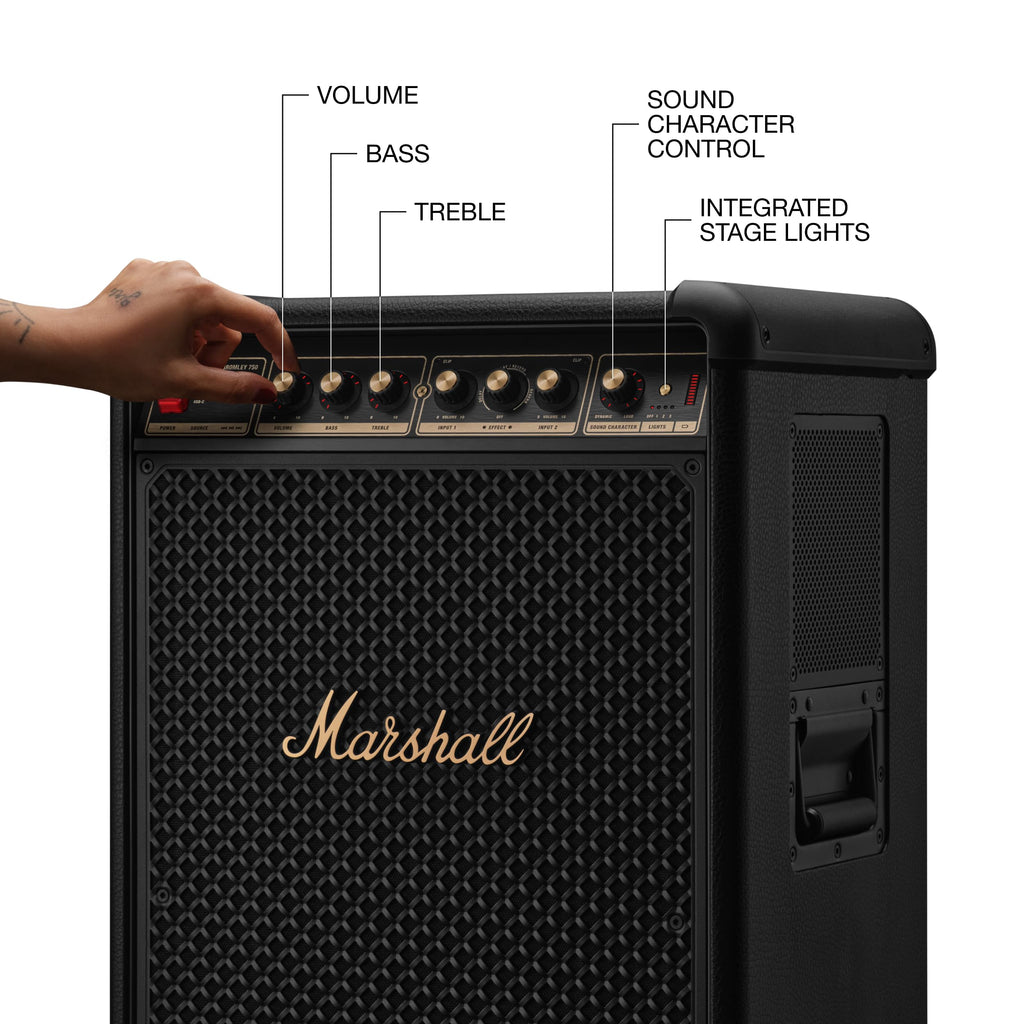 Portable Wireless Party Speaker with LED Lights