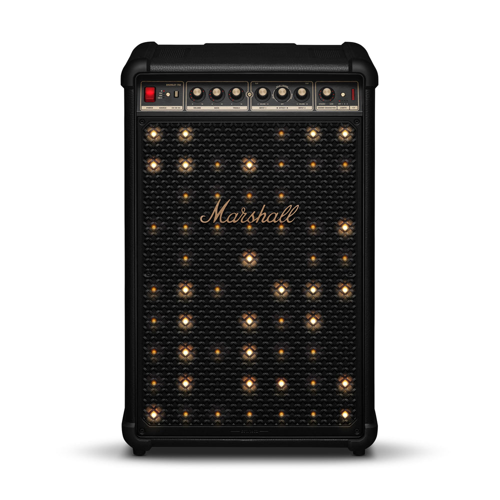 Portable Wireless Party Speaker with LED Lights