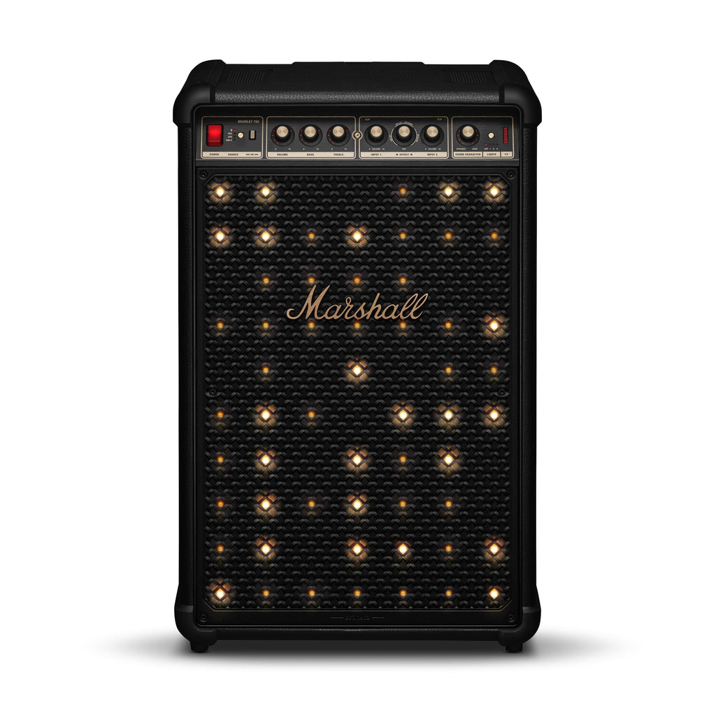 Portable Wireless Party Speaker with LED Lights