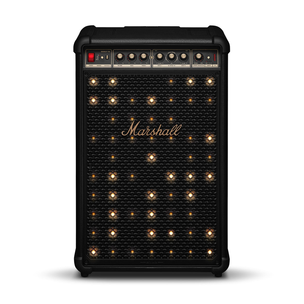 Portable Wireless Party Speaker with LED Lights